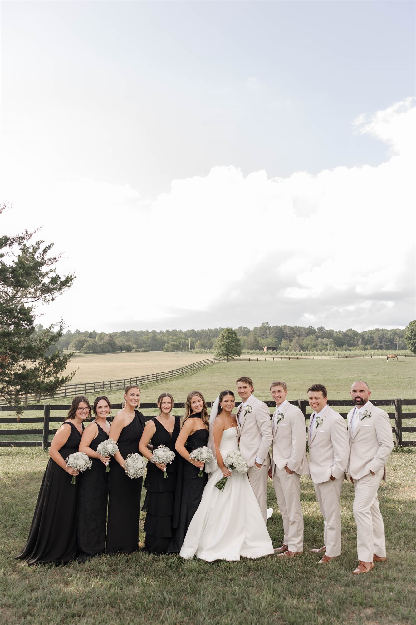 Bridal party by the paddock fence