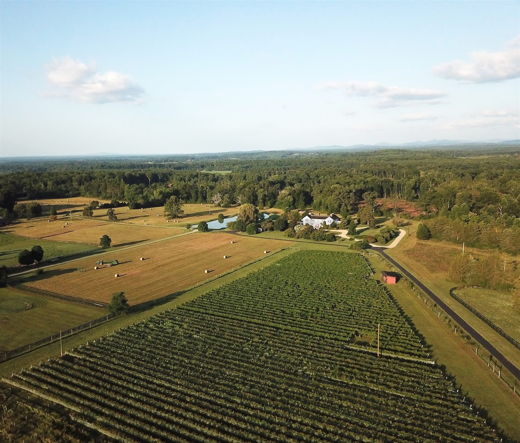 Aerial view of the vineyard and hay fields