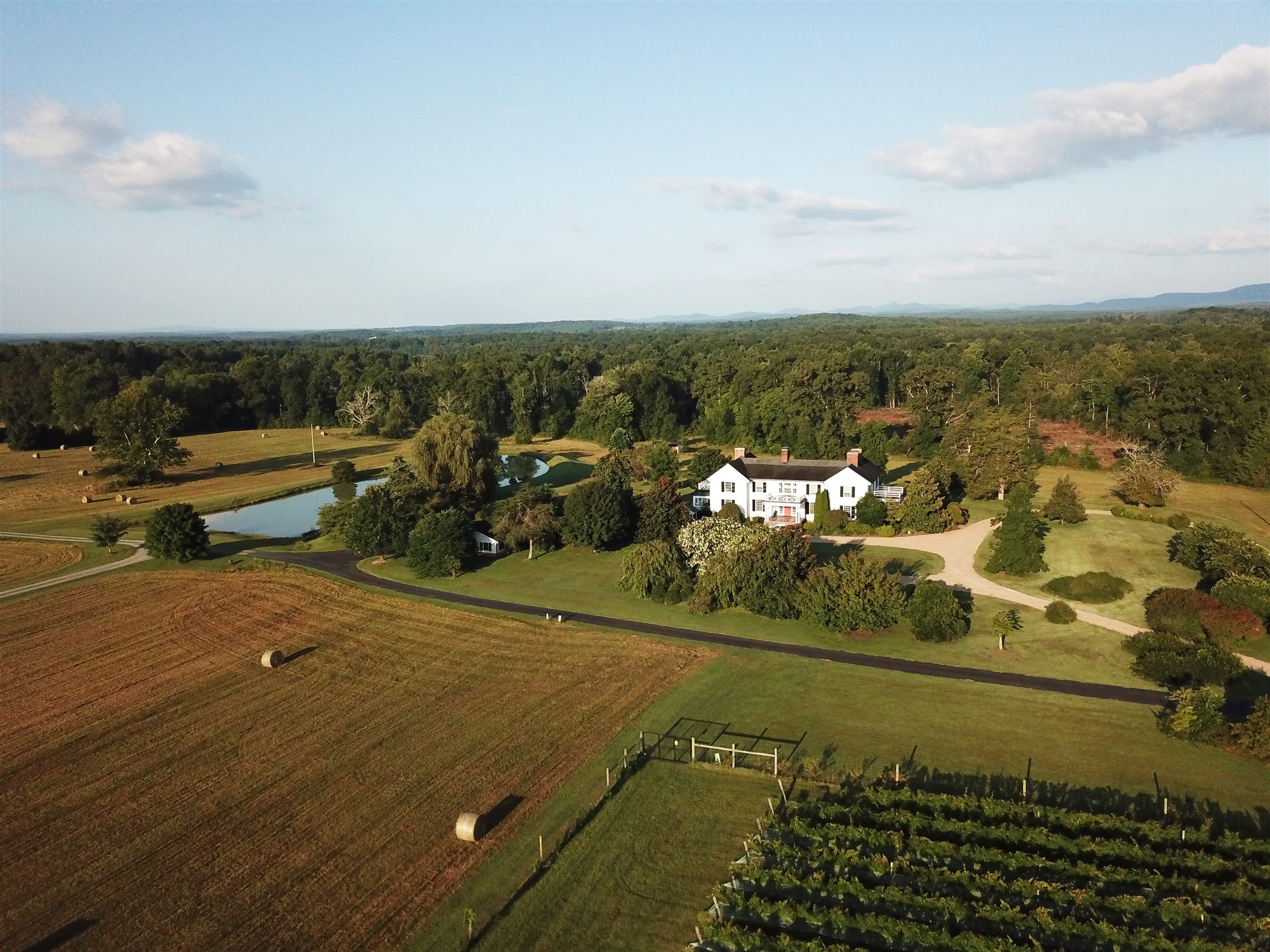Whitehall Farm at dawn