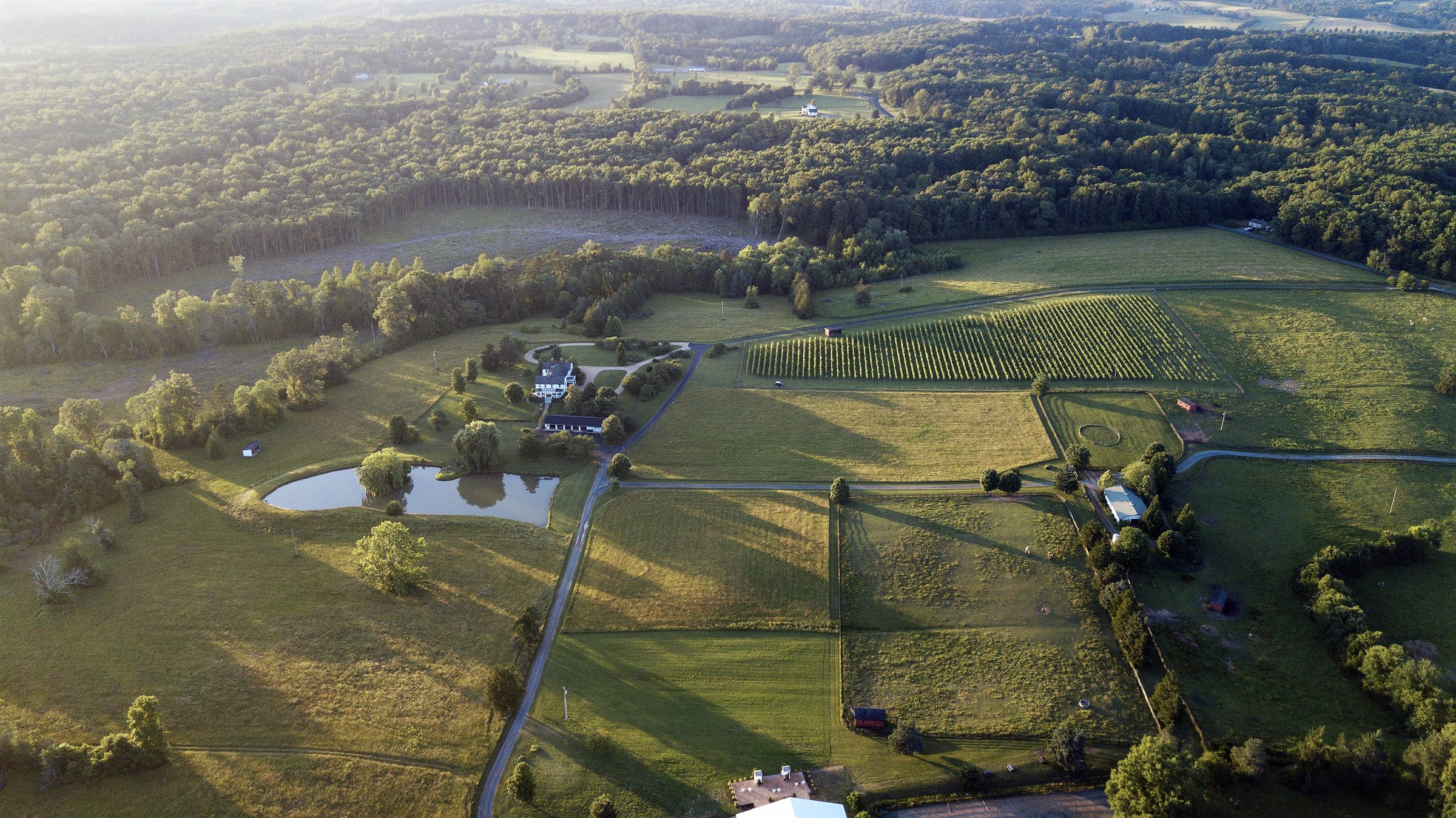 Aerial view of the paddocks, pond and wooded trails
