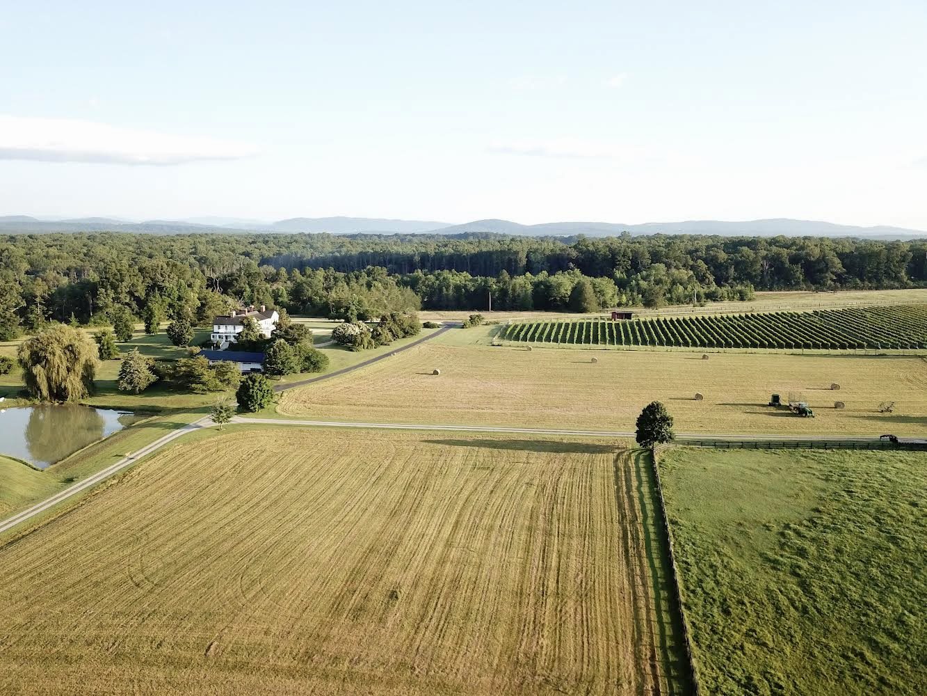 Aerial view of the farmhouse, pond and vineyard with the Blue Ridge beyond