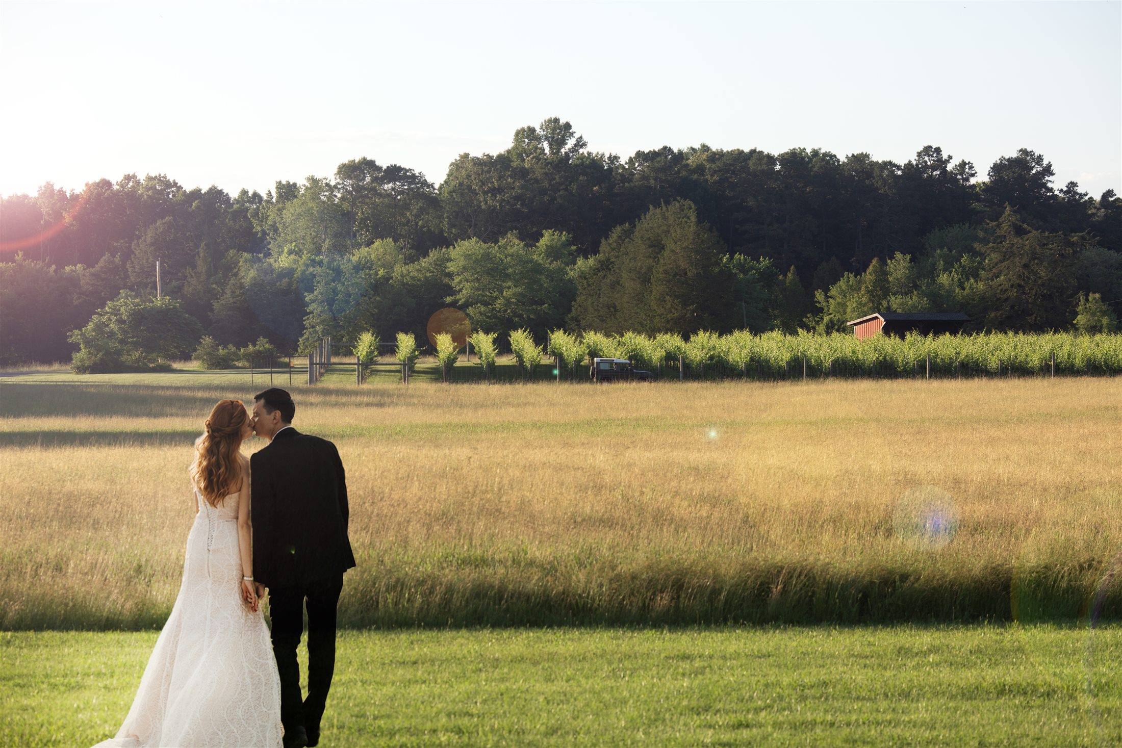 Wedding couple in the meadow at Whitehall Farm