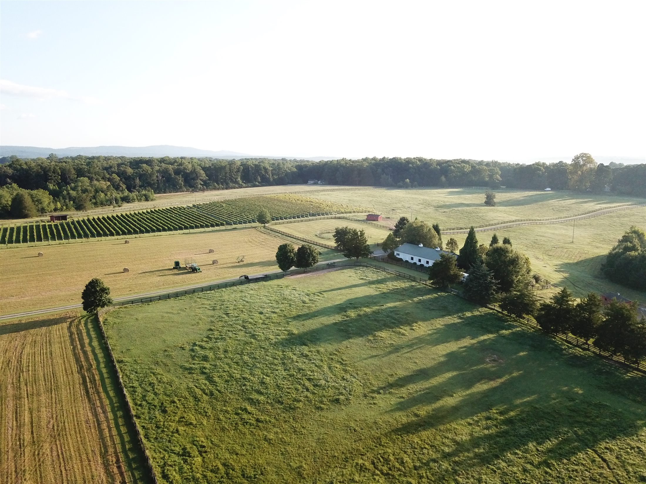 Wedding at Whitehall Farm