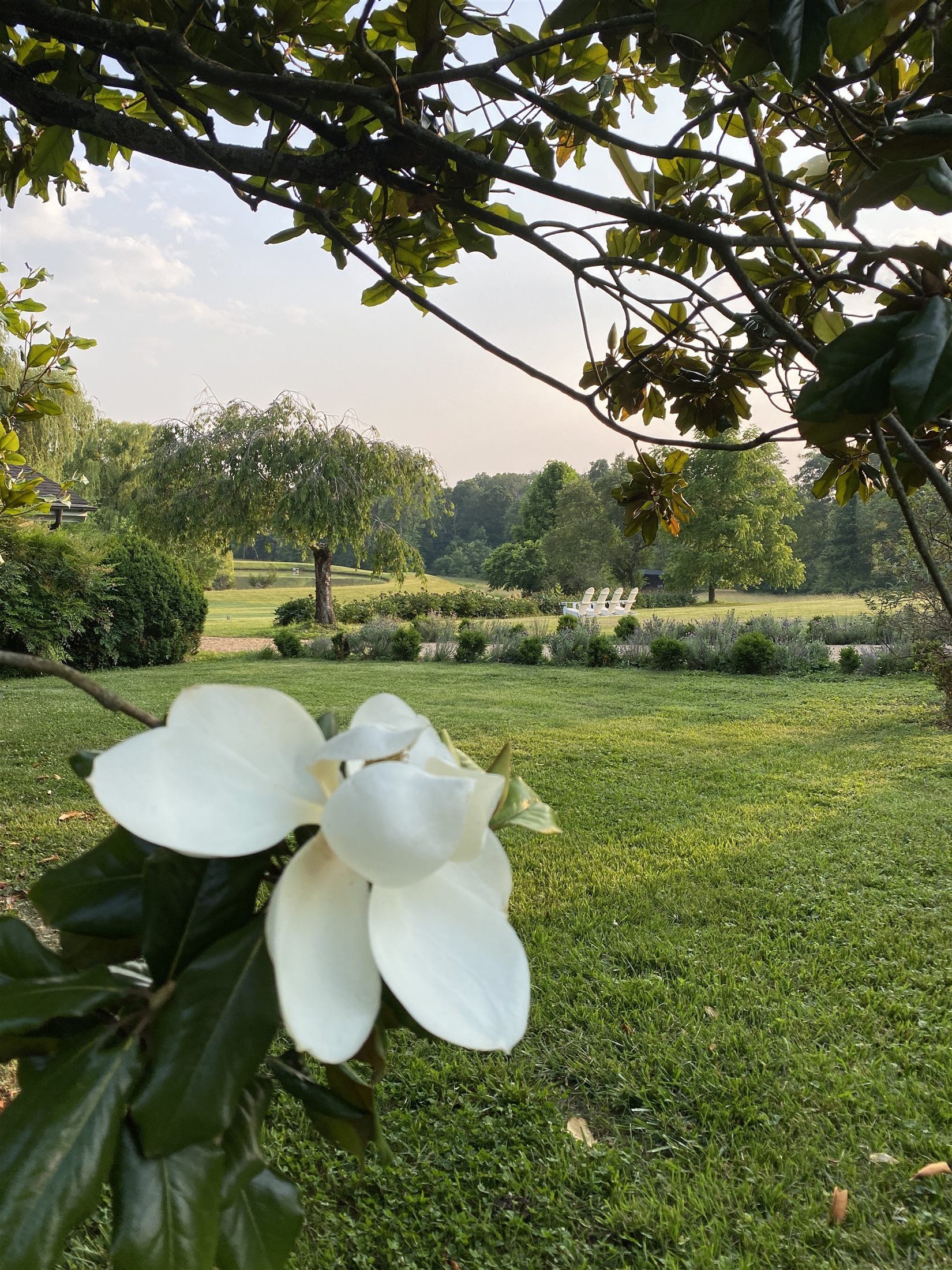 Wedding at Whitehall Farm