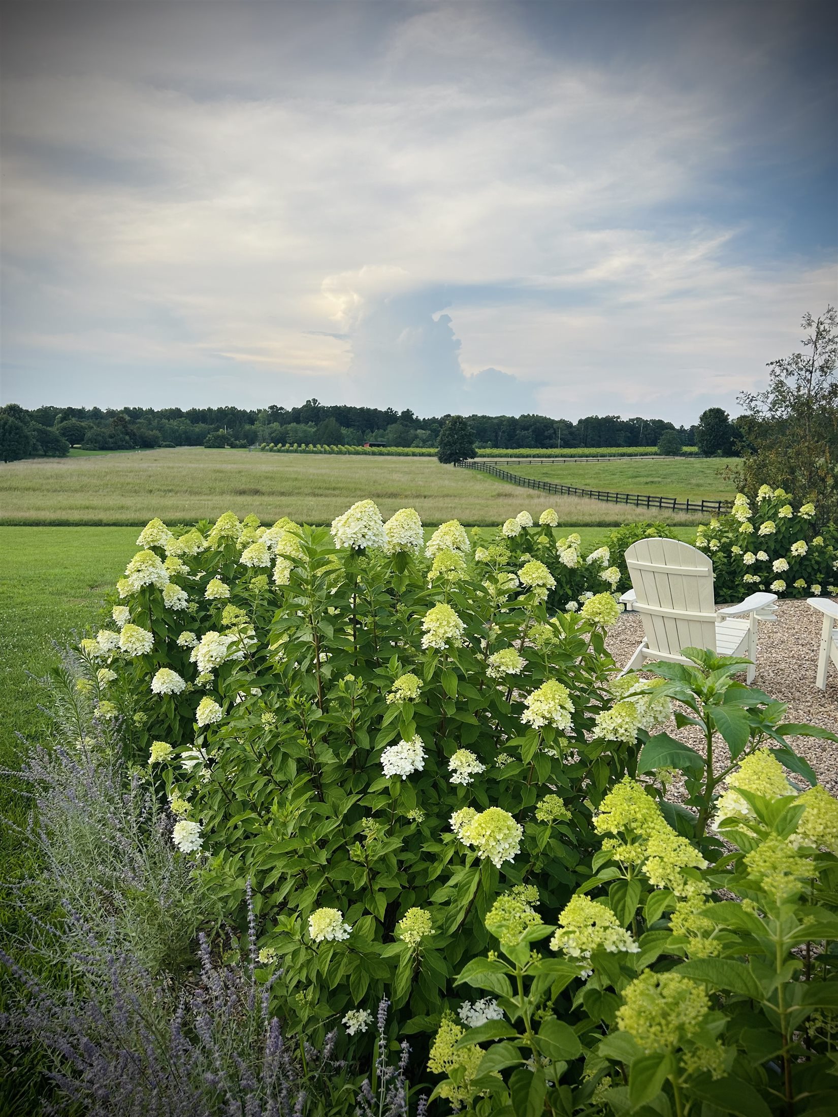 Wedding at Whitehall Farm