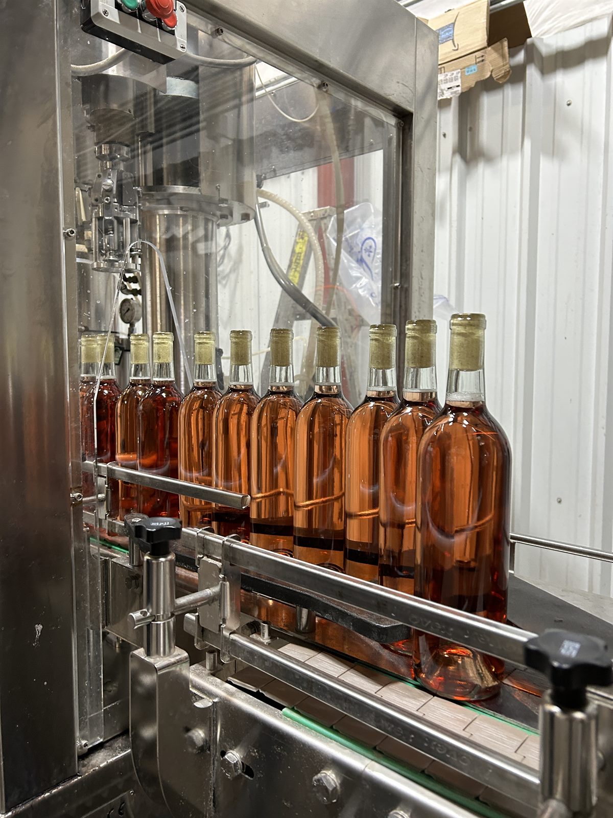 South Paddock rosé on the bottling line